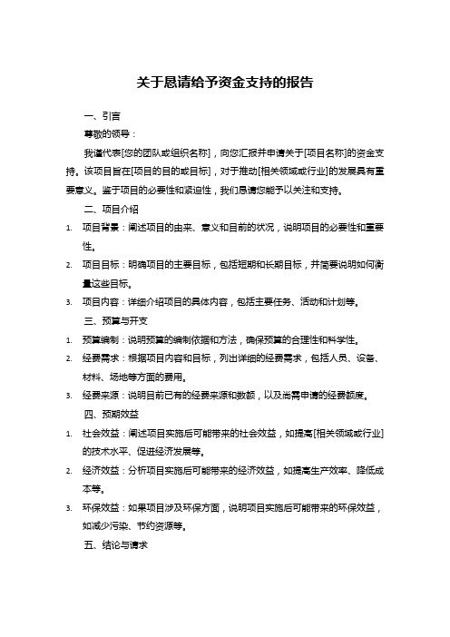 关于恳请给予资金支持的报告