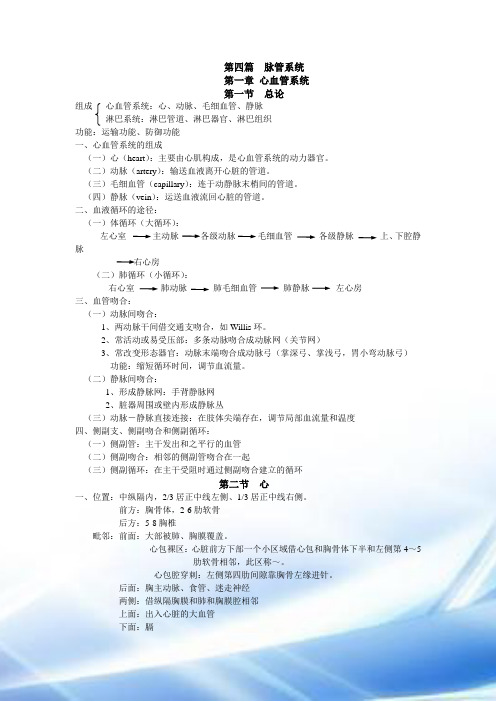 脉管系统