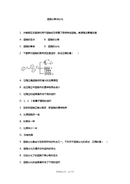 苏科版七年级上册    第3章第3节 细胞分裂与分化