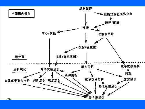 第二章-细胞的分离与破碎-2精品PPT课件