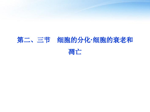 【优化方案】2012高考生物总复习 第四章第二、三节细胞的分化·细胞的衰老和凋亡课件 浙科版必修1