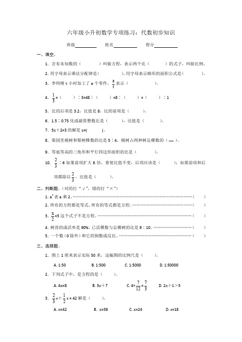 六年级小升初数学专项练习：代数初步知识