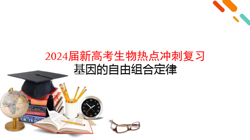 2024届新高考生物热点冲刺复习——基因的自由组合定律