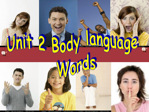 新牛津沈阳版八年级英语下册Unit 2 Body language教学课件 Words.ppt