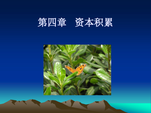 政治经济学第四章资本积累