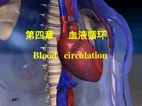 心脏泵血功能