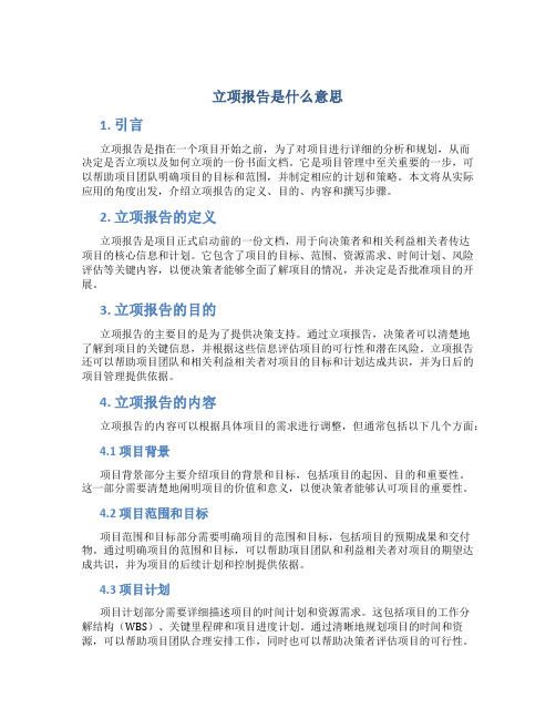 立项报告是什么意思