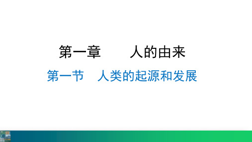 最新人教版初中生物 1-1人类的起源和发展 教学课件