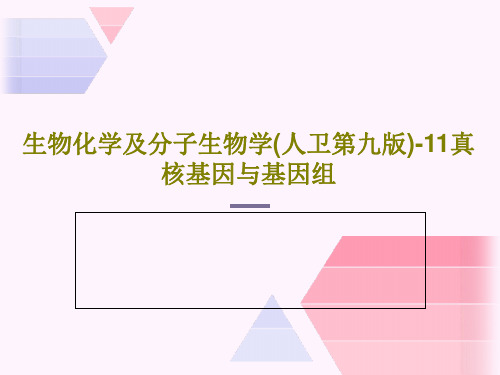 生物化学及分子生物学(人卫第九版)-11真核基因与基因组38页PPT