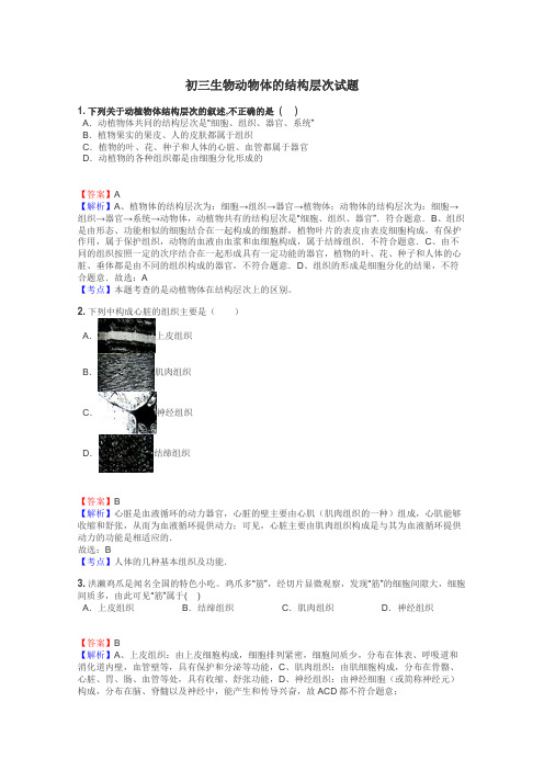 初三生物动物体的结构层次试题
