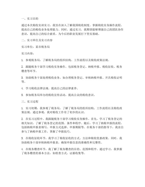 税收实训实习报告