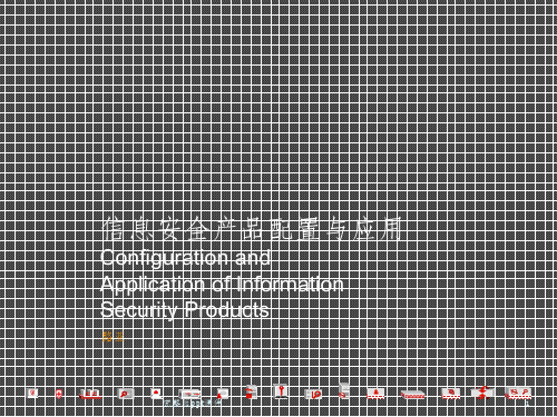 信息安全产品配置与应用ppt课件