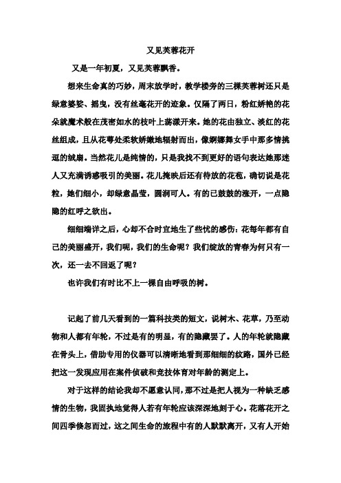 又见芙蓉花开
