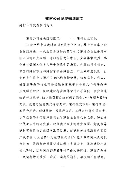 建材公司发展规划范文