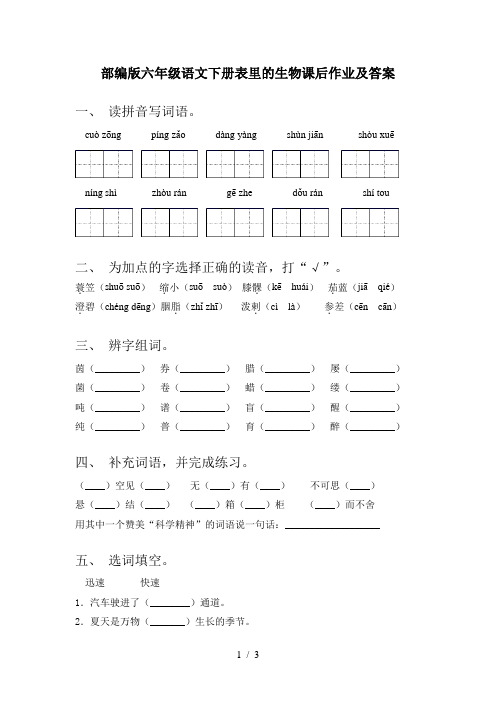 部编版六年级语文下册表里的生物课后作业及答案