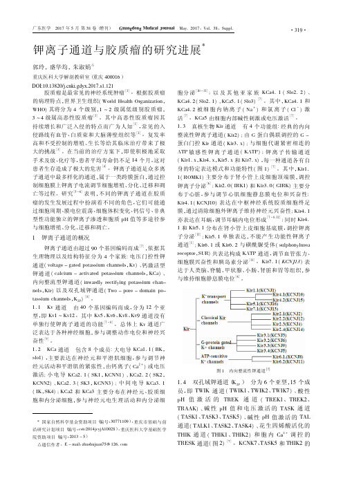 钾离子通道与胶质瘤的研究进展