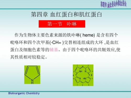 血红蛋白和肌红蛋白