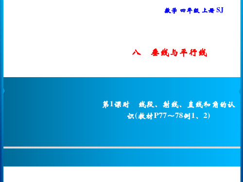 四年级上册数学习题课件-8 第1课时 线段、射线、直线和角的认识｜苏教版(共9张PPT)