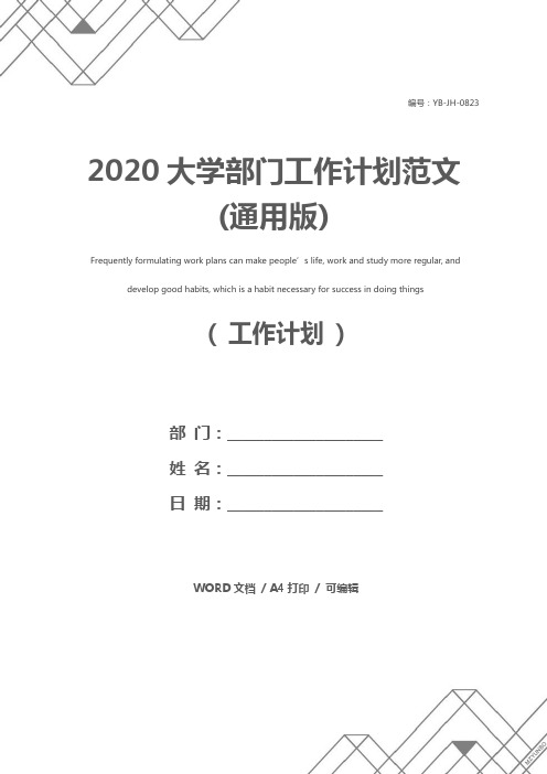 2020大学部门工作计划范文(通用版)