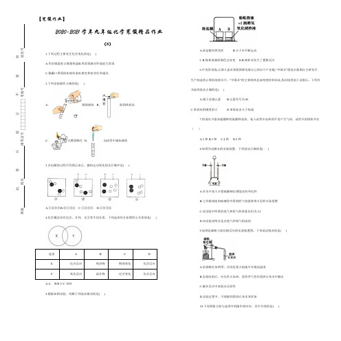 【寒假作业】2020-2021学年九年级化学寒假精品作业(8)