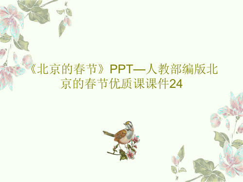 《北京的春节》PPT—人教部编版北京的春节优质课课件24PPT共27页