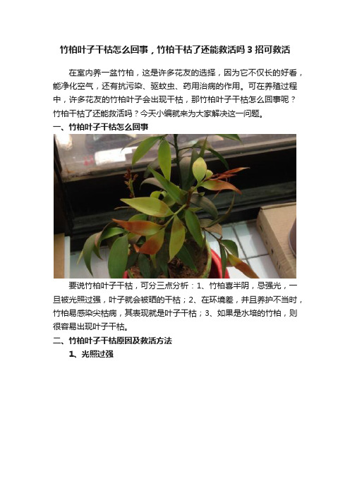 竹柏叶子干枯怎么回事，竹柏干枯了还能救活吗3招可救活