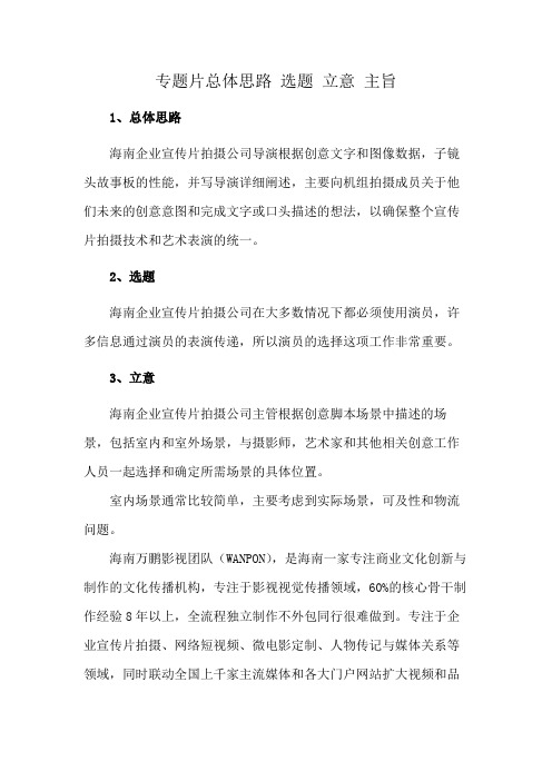 专题片总体思路 选题 立意 主旨