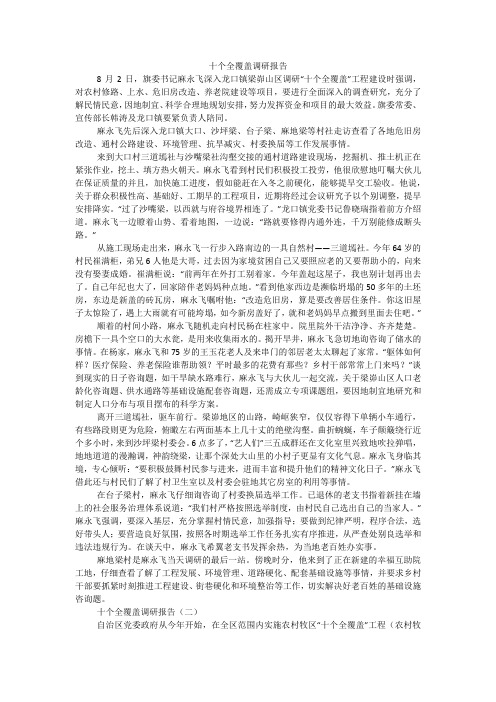 十个全覆盖调研报告