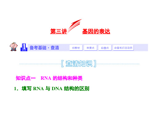 2015届《三维设计》高考生物一轮精品课件：2.2.3基因的表达