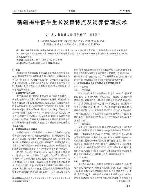 新疆褐牛犊牛生长发育特点及饲养管理技术