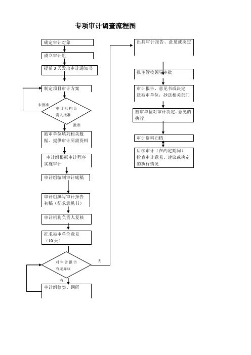 专项审计调查流程图