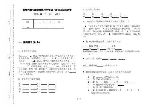 北师大版专题综合练习六年级下册语文期末试卷