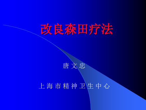 二级心理咨询师考试改良森田疗法上课版演示精品PPT课件