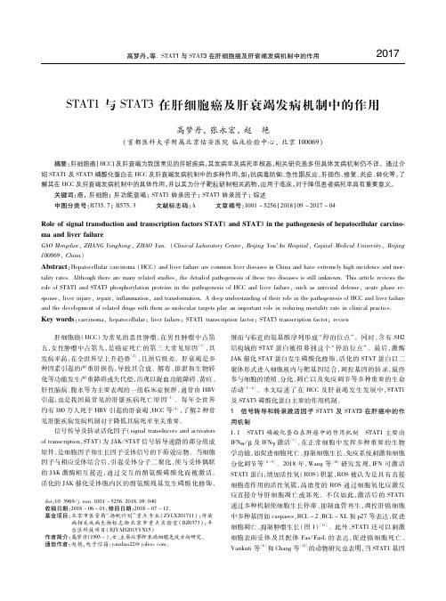 STAT1与STAT3在肝细胞癌及肝衰竭发病机制中的作用