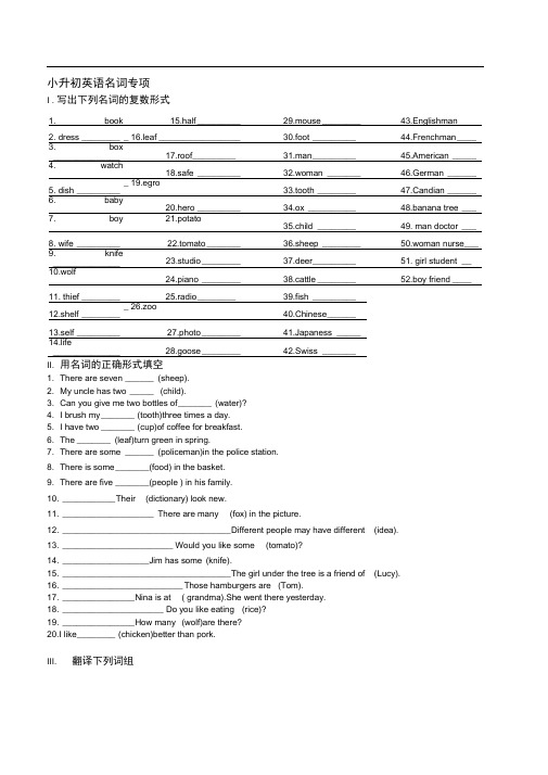 小升初英语名词专项试题