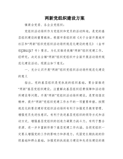 两新党组织建设方案