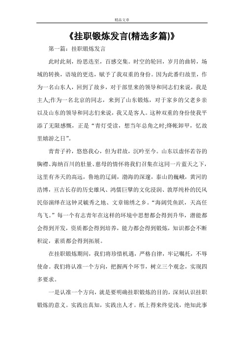 《挂职锻炼发言(精选多篇)》