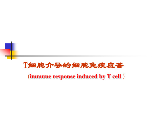 细胞免疫应答