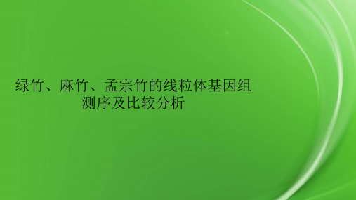 绿竹、麻竹、孟宗竹的线粒体基因组测序及比较分析