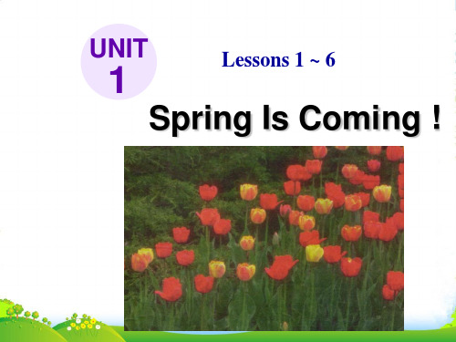 冀教版八年级英语下册Unit 1 lesson 1优质课课件