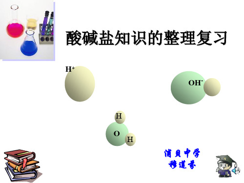 酸碱盐知识的整理复习