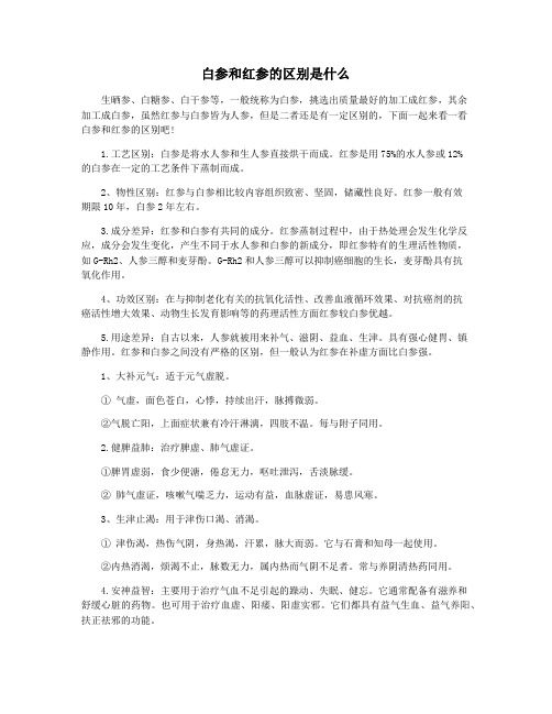 白参和红参的区别是什么