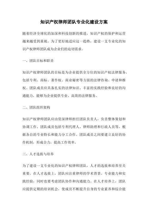 知识产权律师团队专业化建设方案