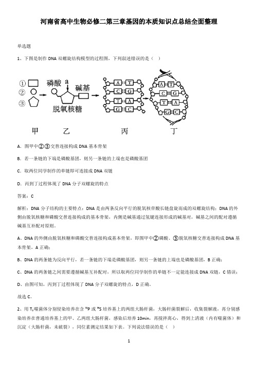 河南省高中生物必修二第三章基因的本质知识点总结全面整理