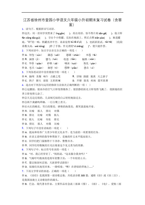 江苏省徐州市奎园小学语文六年级小升初期末复习试卷(含答案)