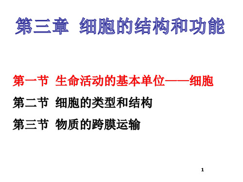 高中生物苏教版必修一第三章 第一节 生命活动的基本单位——细胞(共22页)