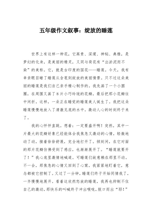 五年级作文叙事:绽放的睡莲
