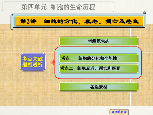 【高考领航】高考生物一轮复习 第四单元 第3讲 细胞的分化、衰老、凋亡及癌变名师精编课件