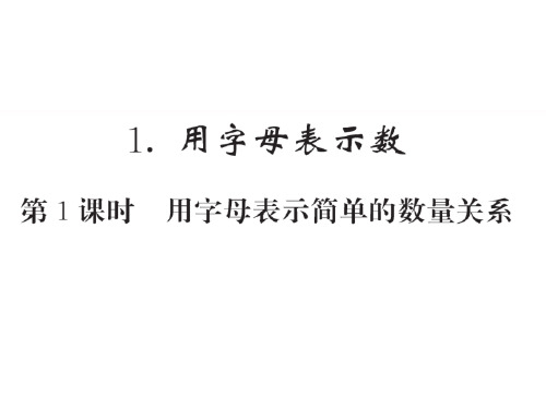 人教小学五年级数学上册习题课件：(5)简易方程-5.1用字母表示数