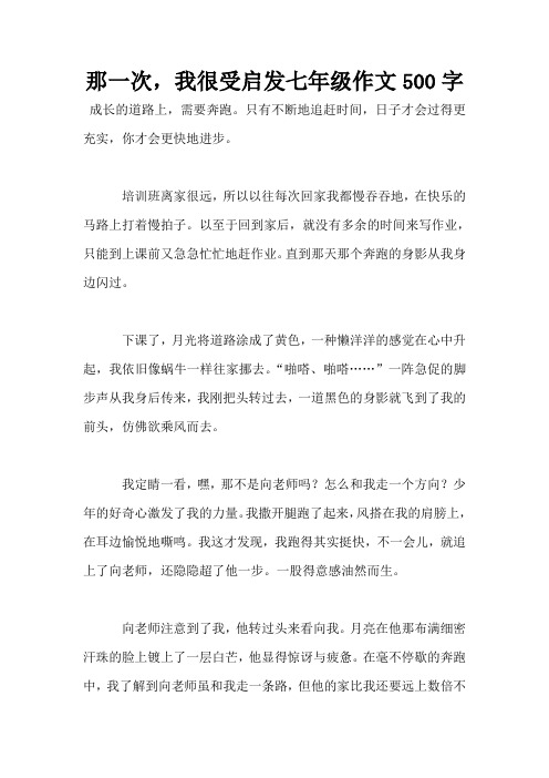 那一次,我很受启发七年级作文500字